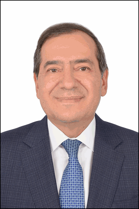 ضياء الدين عصام الدين محمد داود
