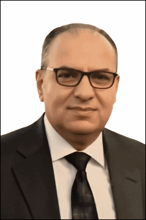 علي محمد علي عز
