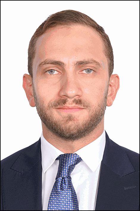 محمد أحمد حمادة أحمد شيحة