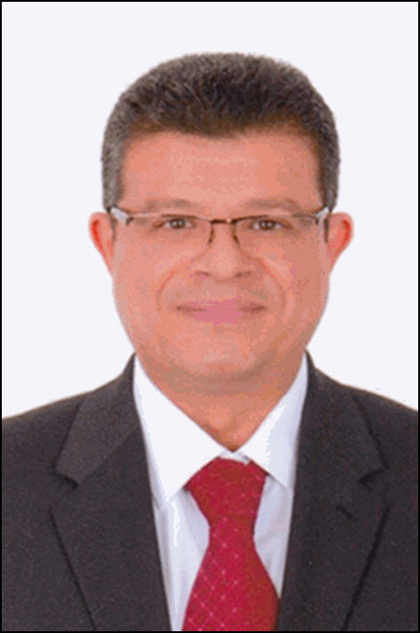 محمد السيد محمد سليمان