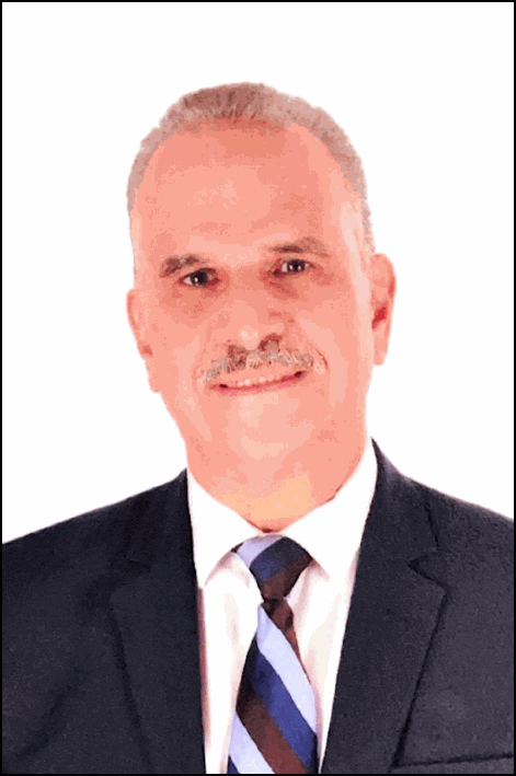 محمد حمدي محمد دسوقي