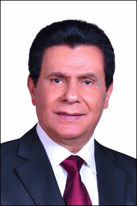 محمد محمد السيد الصالحي