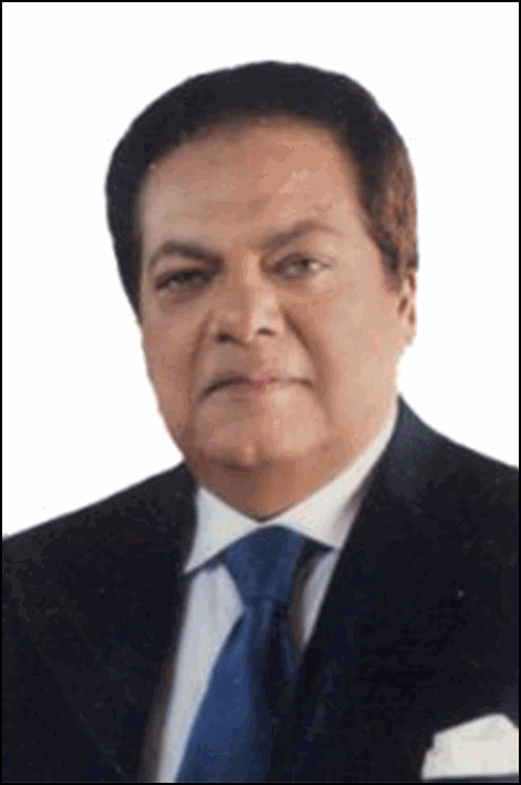 محمد محمد محمد أبو العينين
