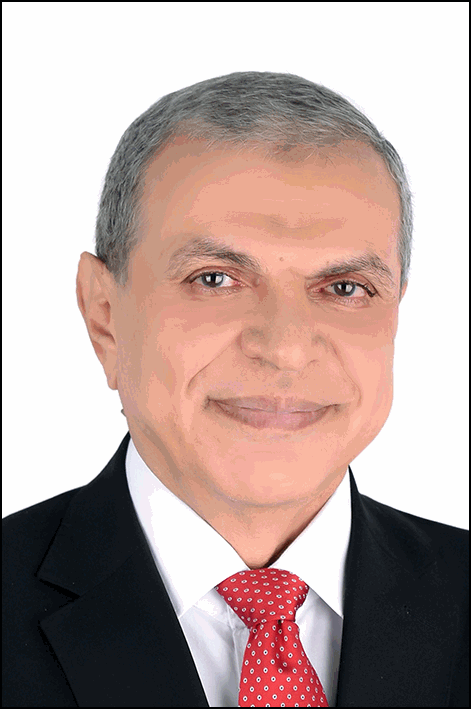 محمد محمود أحمد سعفان