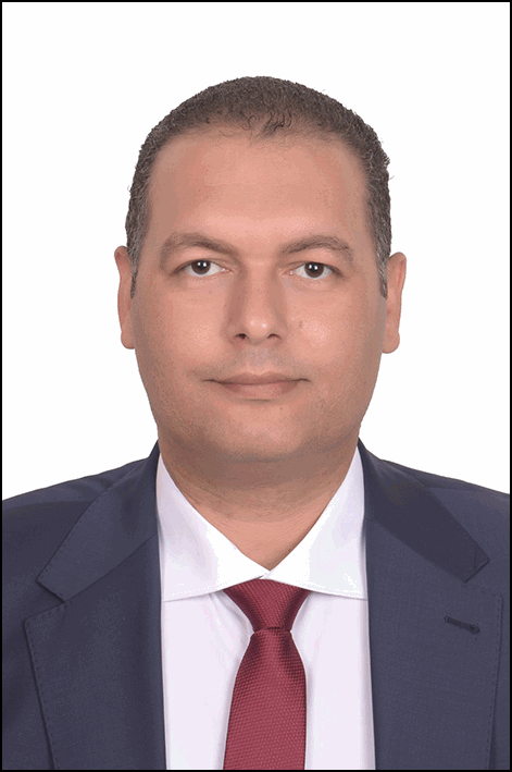 محمد منير إبراهيم إبراهيم ربيع