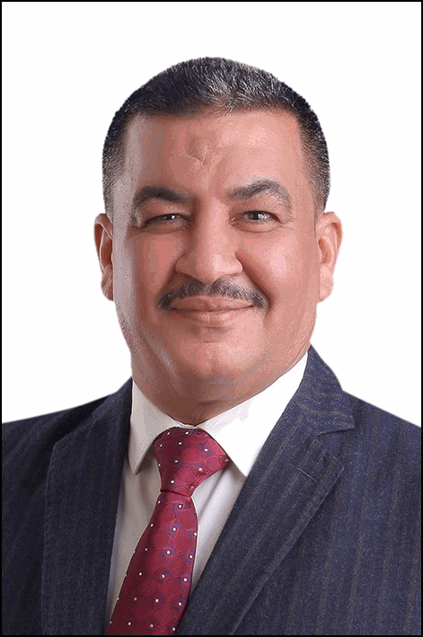 محمود السيد محمد المنوفي علي
