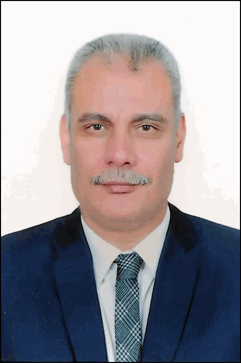 مدحت السيد مصطفى علي