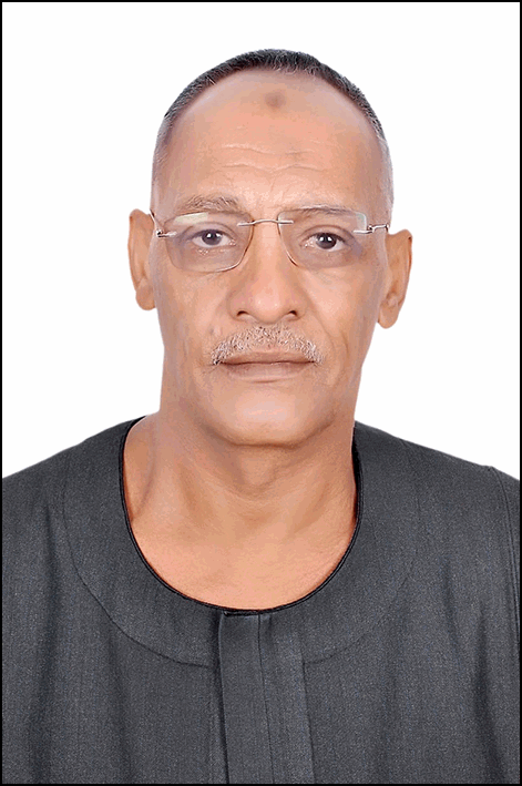 مدحت ركابي محمود عبدالرحمن