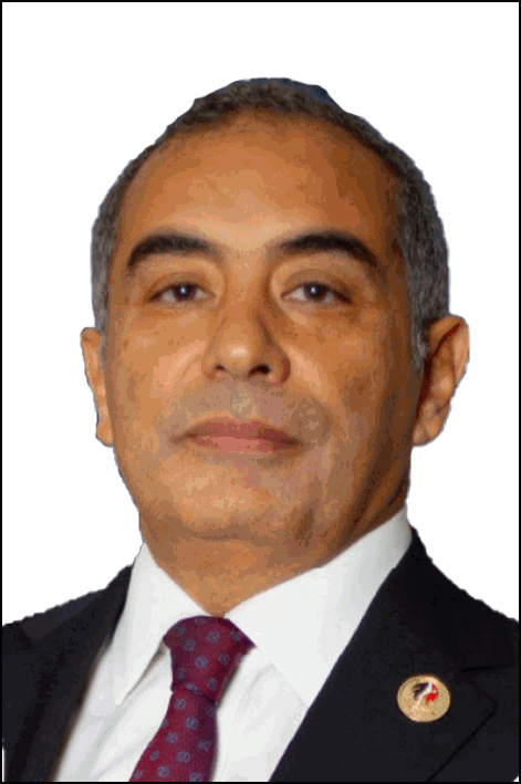 أحمد علي جمعة عوض سرحان