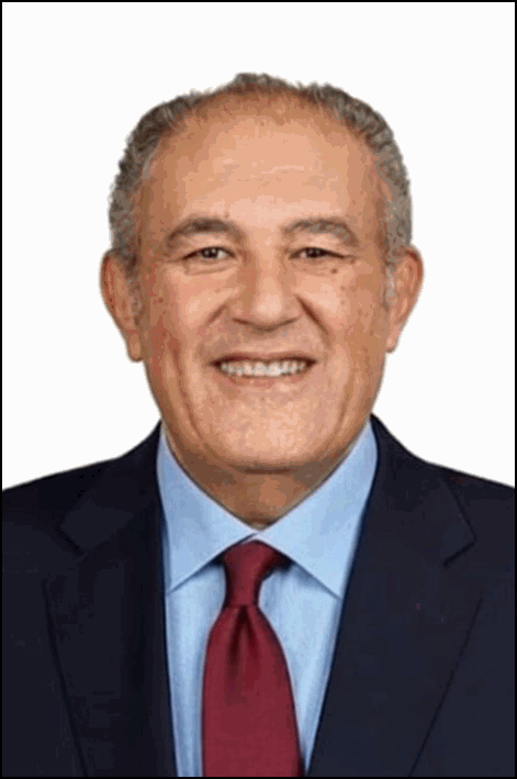 أحمد عمرو أحمد محمد الحفني
