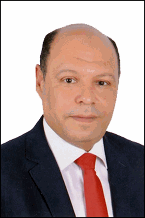 وائل إبراهيم غريب علي