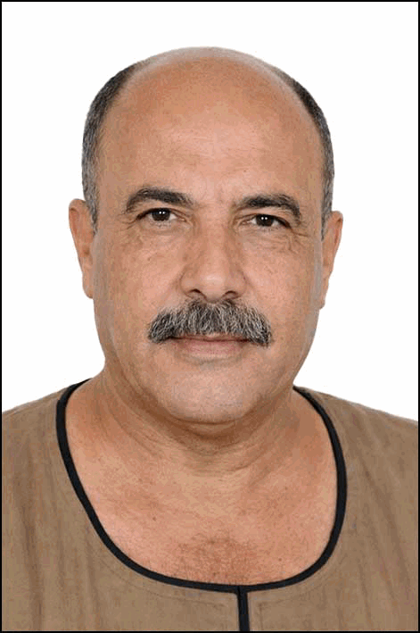 رائف السيد محمد إسماعيل