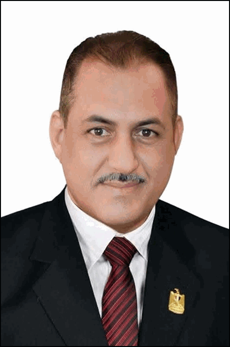 رشيد السيد محمد محمد عامر