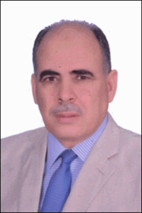 زكريا محمد السيد حسان